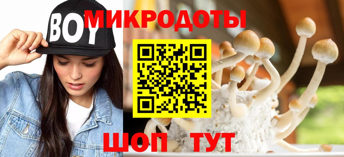 Галлюциногенные грибы Magic Shrooms  купить наркотик  Россия  Вход с VPN 