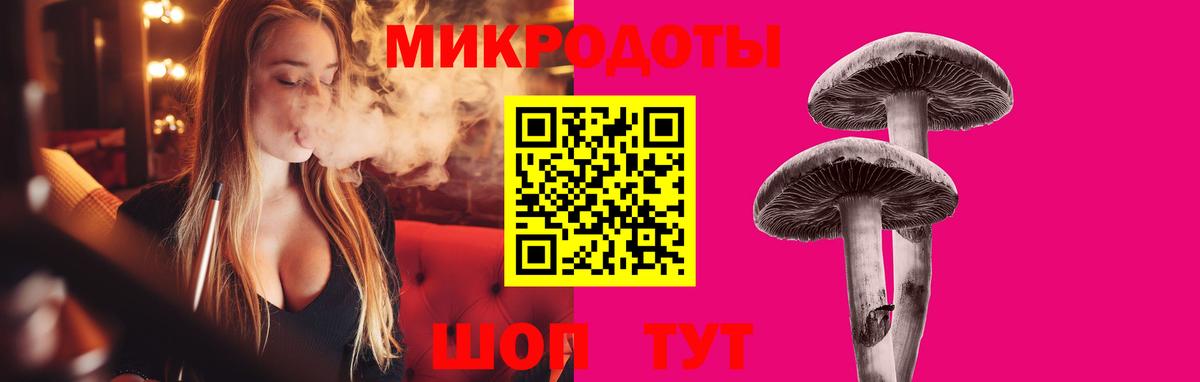 Галлюциногенные грибы Cubensis Россия
