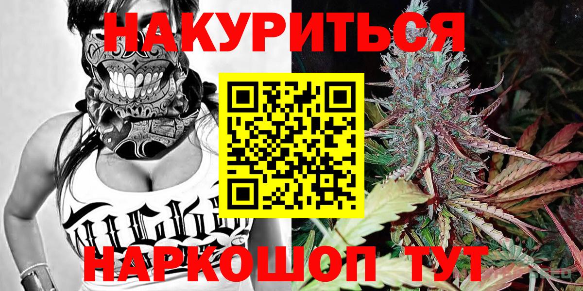 Канабис конопля Россия